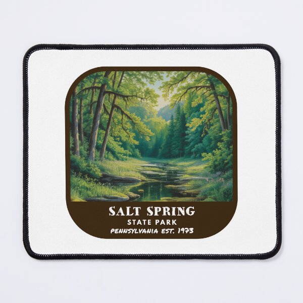 Item preview, Salt Springs State Park (Pennsylvania) designed and sold by RabbitK.