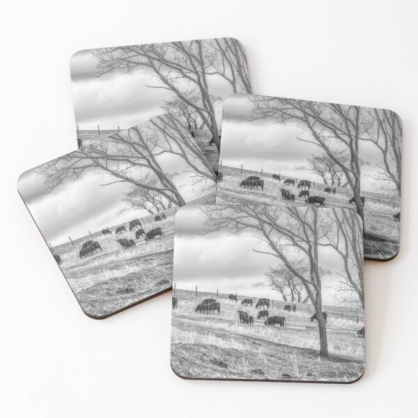 Item preview, Black And White Angus designed and sold by Jim Love.
