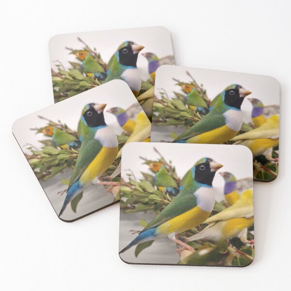 Item preview, Colourful Gouldian Finches designed and sold by Gouldian Care.