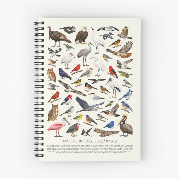 Item preview, Native Birds of Alabama Retro Style Identification Chart designed and sold by kakarikihill.