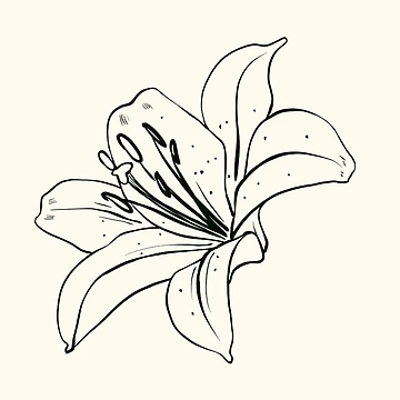 Artwork thumbnail, Simple Flower by Ruthous