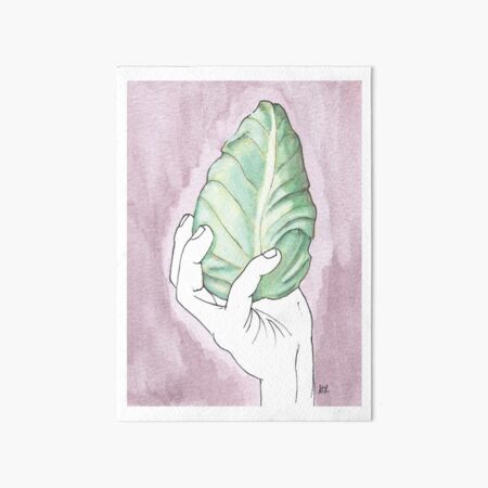 Cone Cabbage | Spidskål Art Board Print
