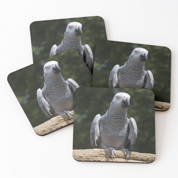 Item preview, African grey parrot portrait designed and sold by alan tunnicliffe.