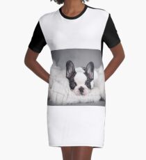 Boston terrier puppy Graphic T-Shirt Dress