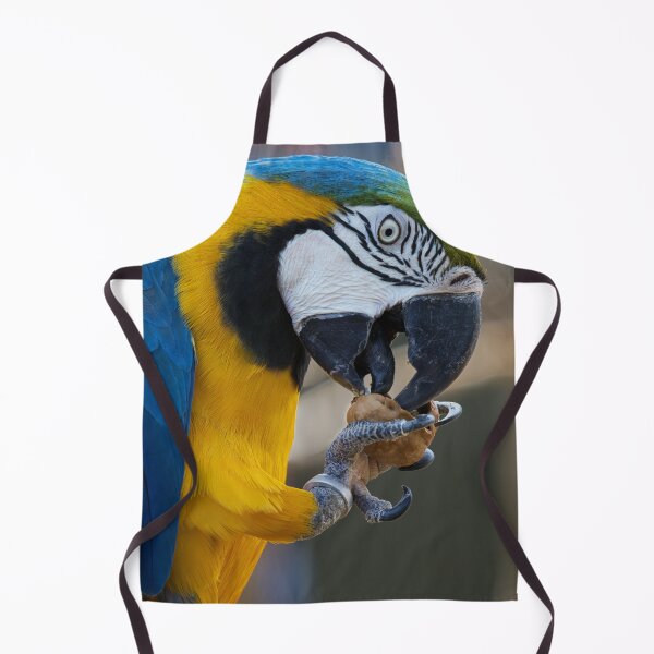Item preview, blue and yellow macaw feeding designed and sold by alan tunnicliffe.
