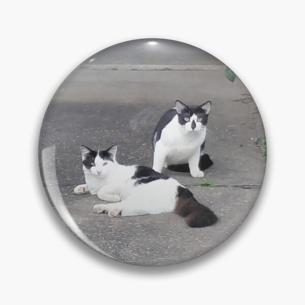 Item preview, The Driveway Committee - Three Cats Lounging designed and sold by pbchan.