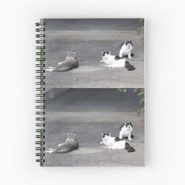 Item preview, The Driveway Committee - Three Cats Lounging designed and sold by pbchan.