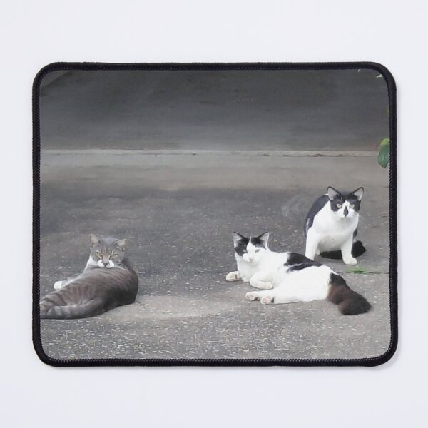 Item preview, The Driveway Committee - Three Cats Lounging designed and sold by pbchan.