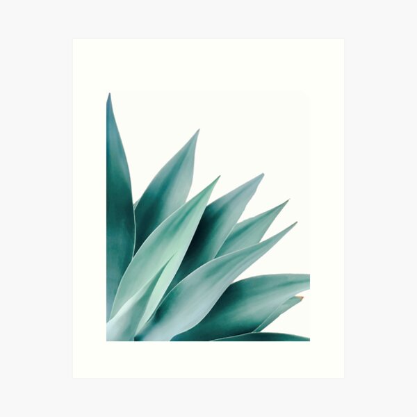 Item preview, Agave flare II designed and sold by Gale Switzer.