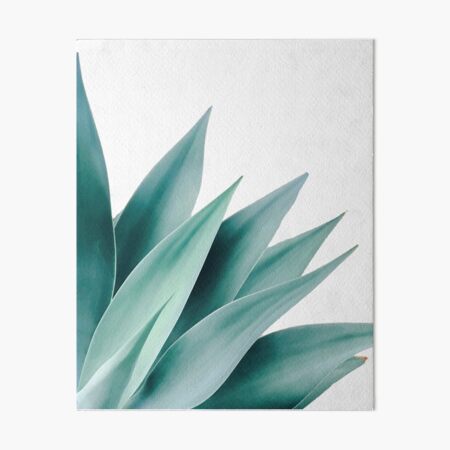Agave flare II Art Board Print