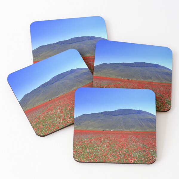 Item preview, Castelluccio flowering 2026 designed and sold by annalisa56.