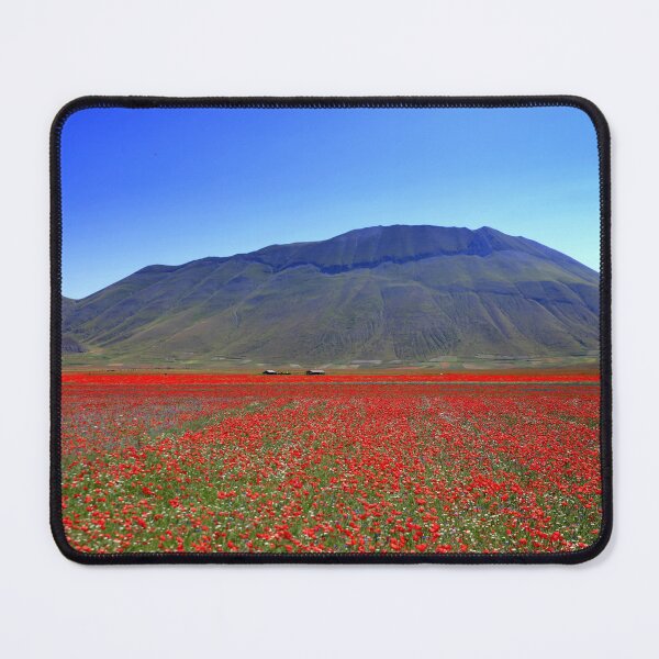 Item preview, Castelluccio flowering 2026 designed and sold by annalisa56.