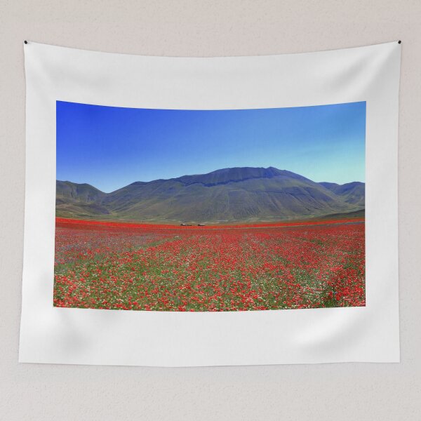 Item preview, Castelluccio flowering 2026 designed and sold by annalisa56.