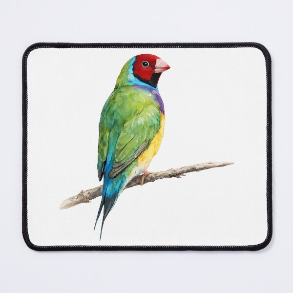 Item preview, Gouldian Finch Watercolour Illustration designed and sold by Jaruart.