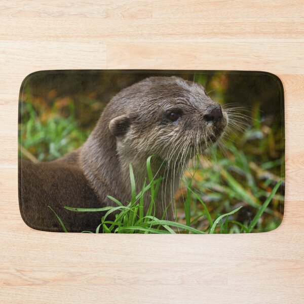 Item preview, Otter Splash designed and sold by rawshutterbug.