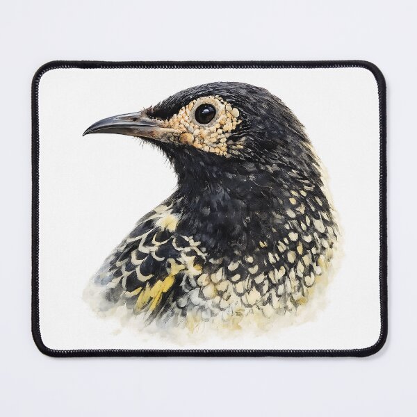 Item preview, Regent Honeyeater — Painted Native Songbird designed and sold by Jaruart.