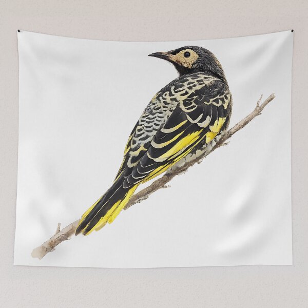 Aperçu de l'œuvre Regent Honeyeater Watercolour Illustration créée et vendue par Jaruart.