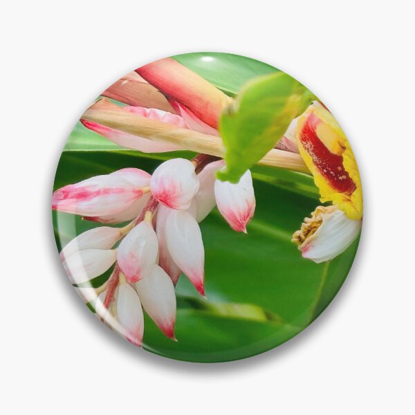Artikelvorschau, Tropische Blume entworfen und verkauft von Jasbindar Singh.