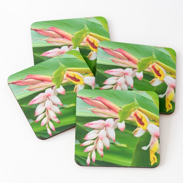 Item preview, Tropical Flower  designed and sold by Jasbindar Singh.