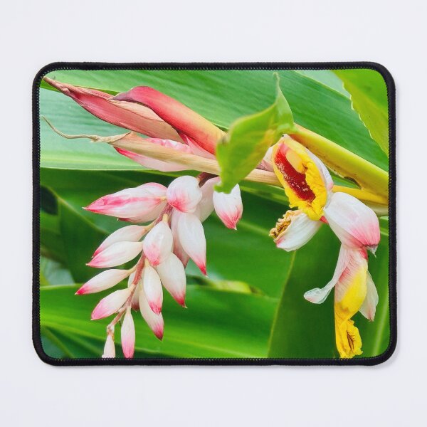 Item preview, Tropical Flower designed and sold by Jasbindar Singh.
