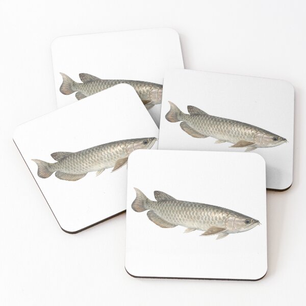 Item preview, Saratoga Watercolour — Australian Freshwater Fish designed and sold by Jaruart.