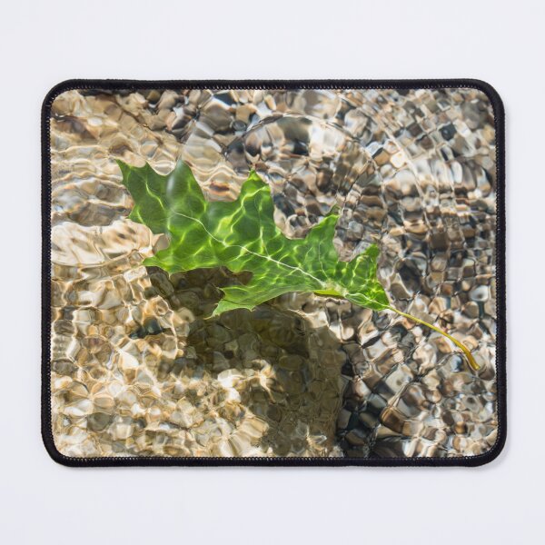 Item preview, Kelly Green Oak Leaf Floating in Clear Water designed and sold by Georgia Mizuleva.
