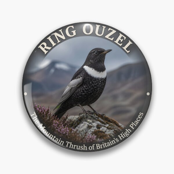 Item preview, RING OUZEL – The Mountain Thrush of Britain’s High Places designed and sold by The Digital Compass.