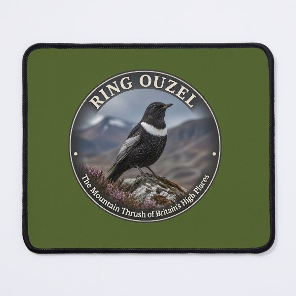 Item preview, RING OUZEL – The Mountain Thrush of Britain’s High Places designed and sold by The Digital Compass.