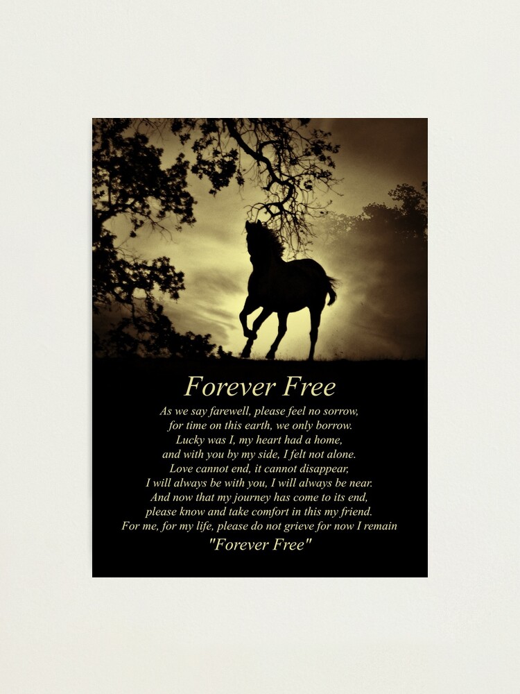 "Sepia Forever Free Poem with Horse" Photographic Print by LazyL