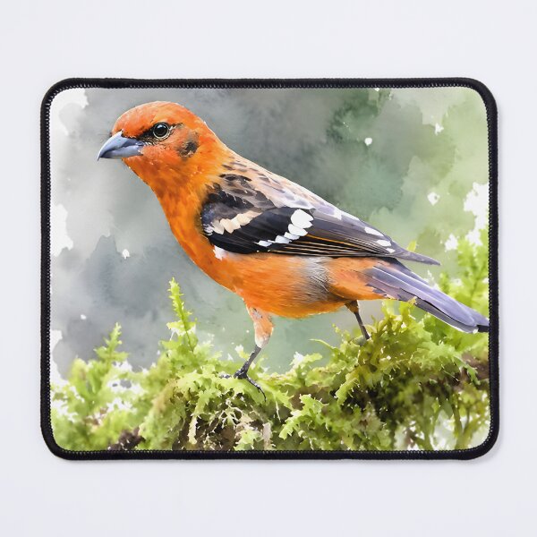 Item preview, Flame-colored Tanager (Piranga bidentata) designed and sold by HOMETOWN86.