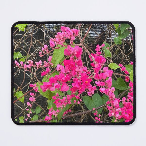 Item preview, Vibrant Pink Flowers designed and sold by Jasbindar Singh.