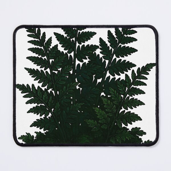 Item preview, Ancient Fern Grotto Dark Green Anime Botanical Sticker designed and sold by Dhenin Studio.