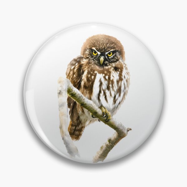 Item preview, Austral Pygmy Owl (Glaucidium nana) designed and sold by HOMETOWN86.