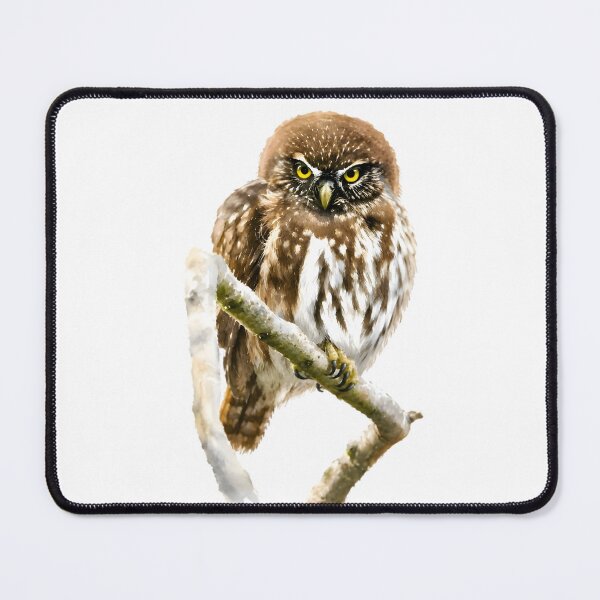 Item preview, Austral Pygmy Owl (Glaucidium nana) designed and sold by HOMETOWN86.