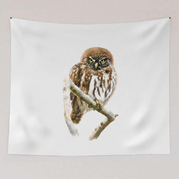 Item preview, Austral Pygmy Owl (Glaucidium nana) designed and sold by HOMETOWN86.
