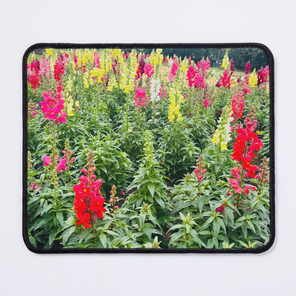 Item preview, Snapdragons in Park designed and sold by Jasbindar Singh.