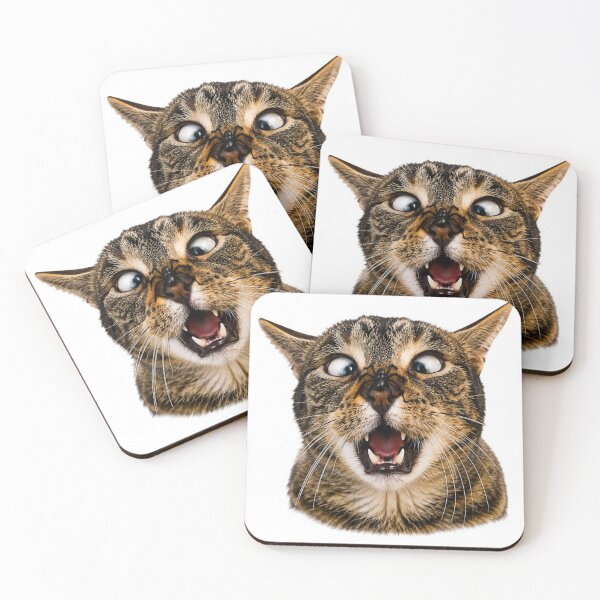 Item preview, Shocked Cat with Spider Funny Sticker designed and sold by BoringClothes .