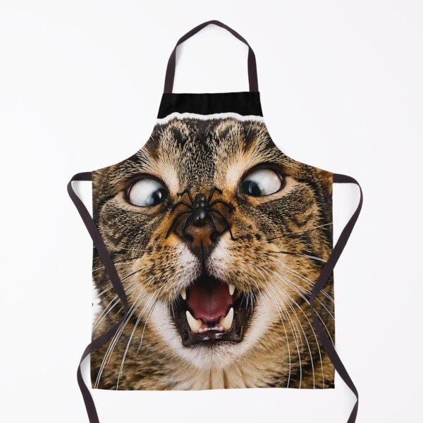 Item preview, Shocked Cat with Spider Funny Sticker designed and sold by BoringClothes .