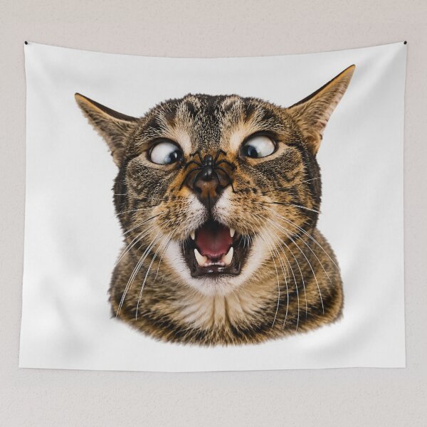Item preview, Shocked Cat with Spider Funny Sticker designed and sold by BoringClothes .