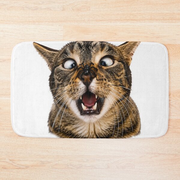 Item preview, Shocked Cat with Spider Funny Sticker designed and sold by BoringClothes .