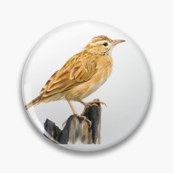 Item preview, Firewood-gatherer (Anumbius annumbi) designed and sold by HOMETOWN86.