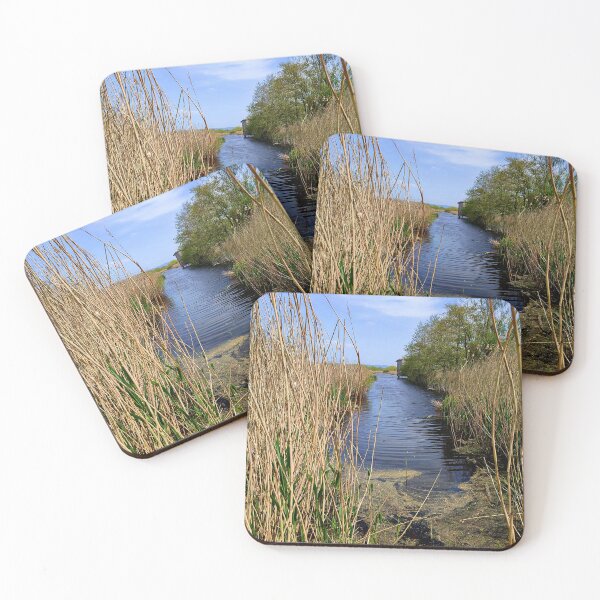 Item preview, Westhay Moor Nature Reserve, Somerset designed and sold by JonDelorme.