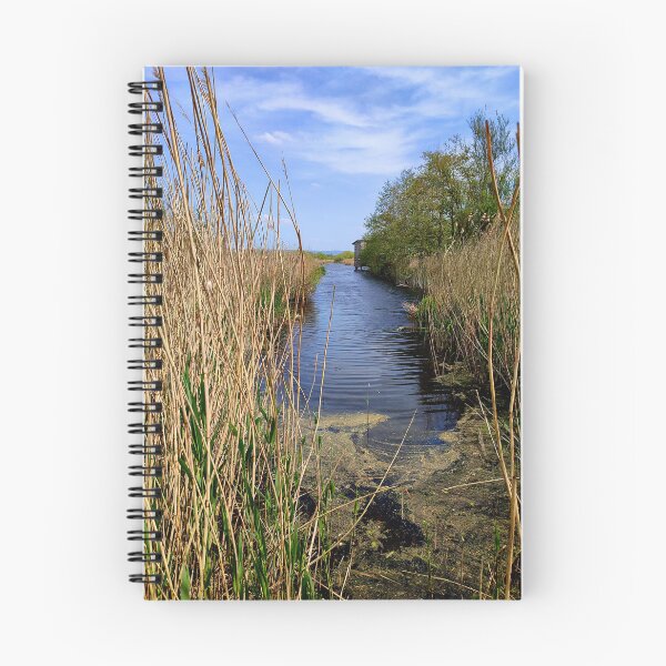 Item preview, Westhay Moor Nature Reserve, Somerset designed and sold by JonDelorme.