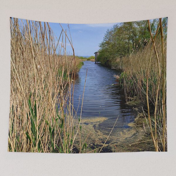 Item preview, Westhay Moor Nature Reserve, Somerset designed and sold by JonDelorme.