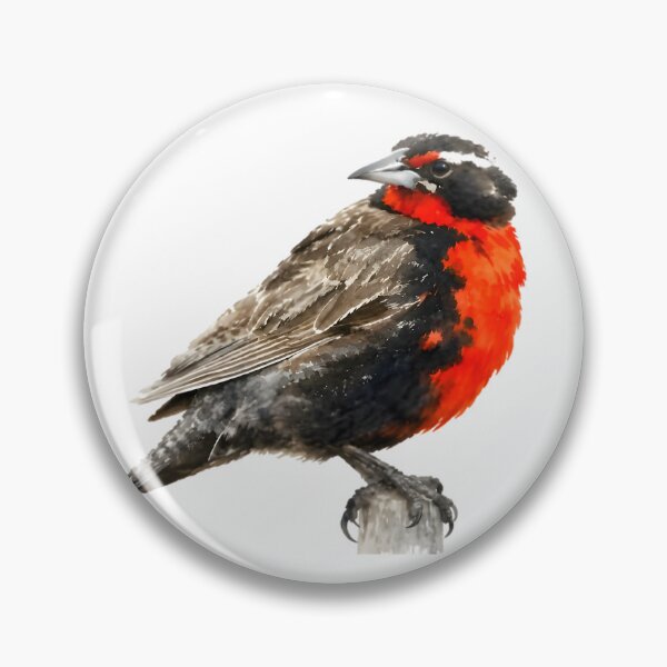 Item preview, Long-tailed Meadowlark (Leistes loyca) designed and sold by HOMETOWN86.