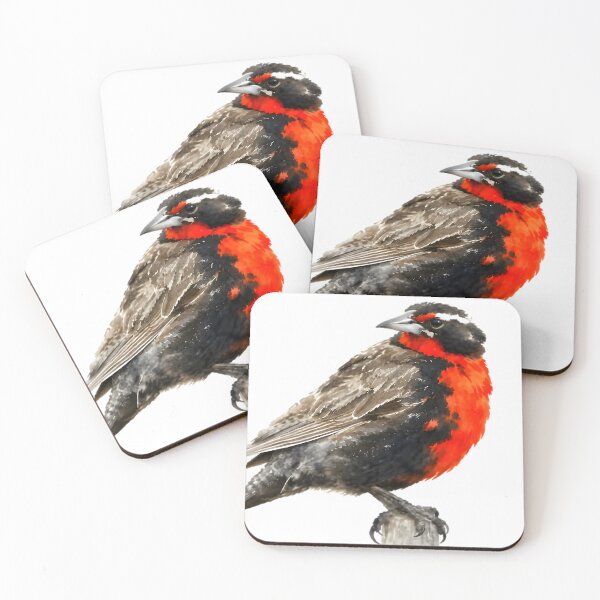 Item preview, Long-tailed Meadowlark (Leistes loyca) designed and sold by HOMETOWN86.
