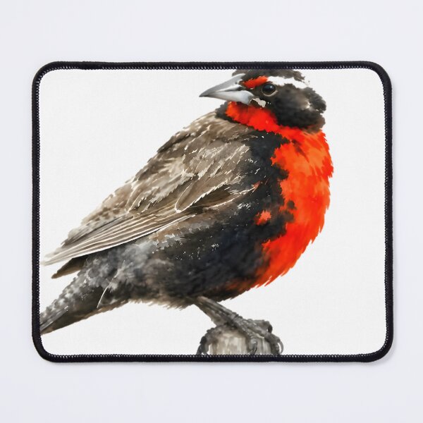 Item preview, Long-tailed Meadowlark (Leistes loyca) designed and sold by HOMETOWN86.