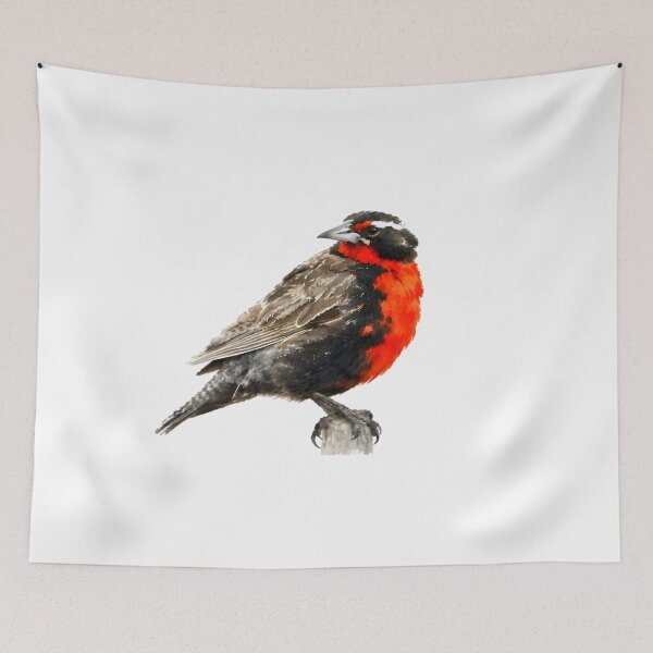 Item preview, Long-tailed Meadowlark (Leistes loyca) designed and sold by HOMETOWN86.