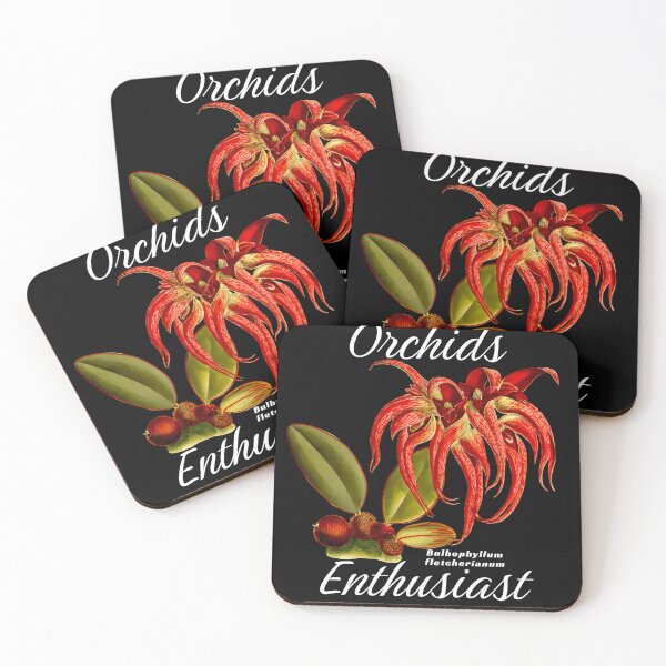 Item preview, Design Orchid Enthusiasts, Bulbophyllum fletcherianum designed and sold by GreenVerseStore.