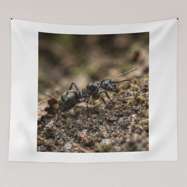 Item preview, Ant designed and sold by KRIDD-DESIGN.